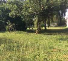 Photo du terrain