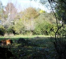 Preparation du chemin d acces pour la maison, elagage de la haie c&ocirc;t&eacute; est, surm de large sur environ m de long....
