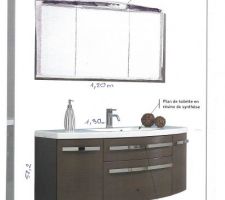 Choix du meuble vasque et de l'armoire de toilette mais en laqué blanc. Pourquoi avoir choisi en centre commercial plutôt que l'offre du magasin spécialisé que nous proposait le constructeur avec une réduction de 15%?
Tout simplement parce que cette offre n'avait pas un éventail de choix en dimensions (pas d'armoire de toilette 3 p en 120cm ou il fallait partir dans une autre gamme et là, le prix triplait !!! mais c'était indéniable, cette offre rapport qualité prix était trés interressante