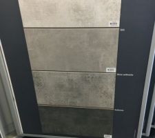 Choix fa&iuml;ence Sdb /wc