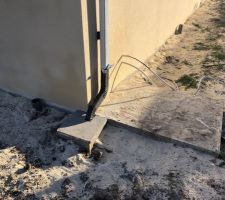 Weber ton pierre 016