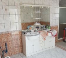 La salle de bain qu on refera pas pour le moment