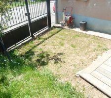 Gazon replanté