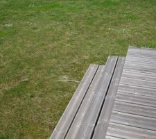 La queue  longue  est ce une couleuvre?