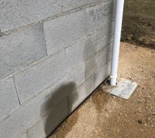 La premi&egrave;re tache pas s&egrave;che, la deuxi&egrave;me est d&eacute;j&agrave; l&agrave;... j'en peut plus de voir ces porcs...