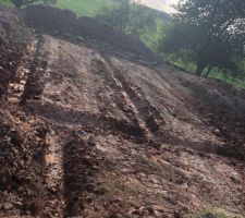 Terrain après
