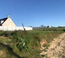Terrain côté droit avec "l'allée" du voisin
