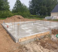 Toute belle toute fraiche