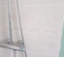Faïence espace douche tâchée