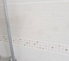 Faïence espace douche tâchée