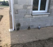 Troisi&egrave;me jour de suite... bon, gr&acirc;ce aux indices laiss&eacute;s, il doit y avoir un grand et un petit :)