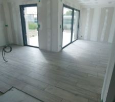 Carrelage parquet coloris Hazel