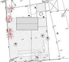 Esquisse du projet 1 (non retenu), plan d'implantation