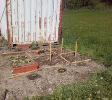 Jardin 2019. Dans les bacs : semis de salade, semis de tournesol ; godets semis de courges spaghetti.