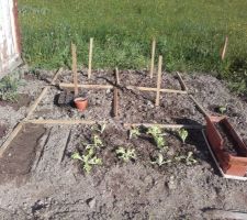 Jardin 2019. Dans les bacs : semis de salade, semis de tournesol ; godets semis de courges spaghetti.