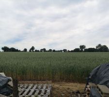 Vue du terrain côté jardin (sud/sud-ouest)