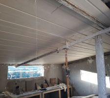 Faux plafond