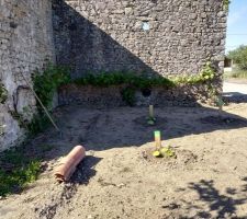 Comme la moitié du terrain avait été nettoyé , on en a profité pur faire pousser un petit jardin au programme potimarron butternut melon et fraise , on a un autre potager chez nous ici on profite de la place pour les courges