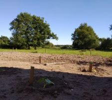 Le petit potager avec une jolie vue sur la campagne