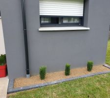 Création d'un parterre à l'est de la partie toit terrasse.

Bordure posée,
Tapis végétal restant enlevé,
Plantes plantées