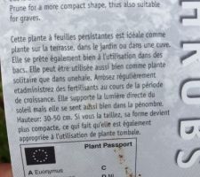 La variété de plante choisie pour le parterre