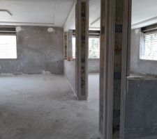 Pierre naturelle, faux plafond salon 1 etage