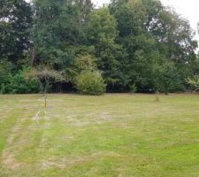 Petite photo du terrain