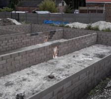 Murs du V S termin&eacute;s.Beau travail