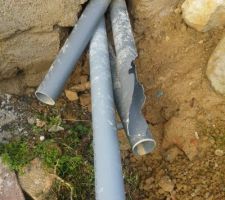 3 sorties d'appartements (pvc en 100.)en attente de raccordement pour direction la micro station.que devons nous faire.mettre un regard en béton ou pvc..nous attendons vos conseils.nous sommes totalement novices.