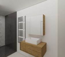 Apercu 3D - Salle de Bain Parentale
Douche à l'italienne 90x160 + accès direct Dressing 6m²