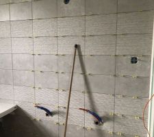 Faiences des salles d'eau