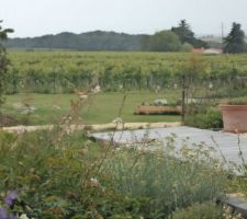 Voilà des gens intelligents qui ont mis leur maison dans un ecrin de verdure qui les protège des tempêtes
