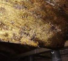 Bonjour, voici une année de sonstruction achevé mais voilà le jour de notre réception nous découvrons notre vide sanitaire dans un état de pourritures total.
En effet les poutrelles sont devenus noir, humide, pleines de champignons et de goutelette d'eau. Est-ce que cela est normal ? Doit-on le signaler en le consignant par lettre recommandée. Notre conducteur de travaux nous à dit que cela était tout à fait normal, car d'après lui les poutrelles en bois servent juste pour pouvoirs accueillir le plancher qui est couler en liquide. Pourriez vous me donner votre avis s'il vous.