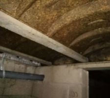 Bonjour, voici une année de sonstruction achevé mais voilà le jour de notre réception nous découvrons notre vide sanitaire dans un état de pourritures total.
En effet les poutrelles sont devenus noir, humide, pleines de champignons et de goutelette d'eau. Est-ce que cela est normal ? Doit-on le signaler en le consignant par lettre recommandée. Notre conducteur de travaux nous à dit que cela était tout à fait normal, car d'après lui les poutrelles en bois servent juste pour pouvoirs accueillir le plancher qui est couler en liquide. Pourriez vous me donner votre avis s'il vous.