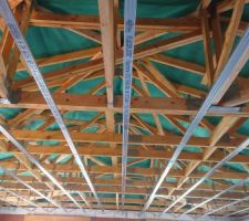 Rails au plafond