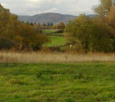 Le terrain avant le début de la construction