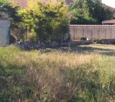 Apr&egrave;s nettoyage