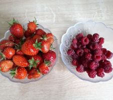 Petits fruits du jardin