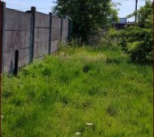 La futur all&eacute;e