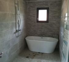 Coucou tout le monde
Le plombier vient de poser la colonne de douche et la baignoire îlot. C'est exactement ce que l'on voulait ??