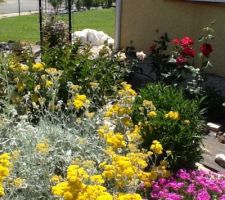 Une partie du jardin en fleurs