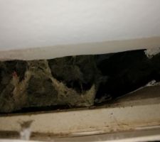 Plafond suite infiltration d'eau (juin 2019).