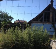 LE toit ondul&eacute; en amiante a disparu et les herbes ont pouss&eacute;es