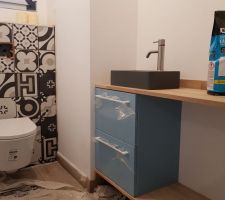 Meuble Lave Main WC RDC