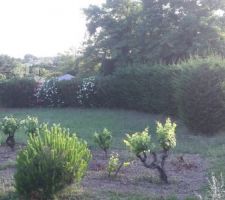 Vue du bout du terrain