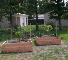 Mes carrés de jardin