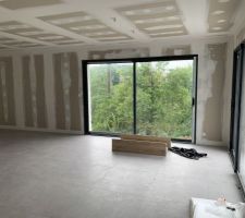 Vue du salon