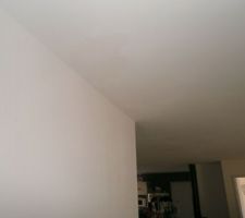 De retour avec encore un problème de fuite suite au forte pluie entre la nuit du Mardi 11 juin au Mercredi 12 Juin 2019, j'ai constaté le Jeudi 13 Juin 2019 une belle marque au plafond entre notre salon et notre séjour