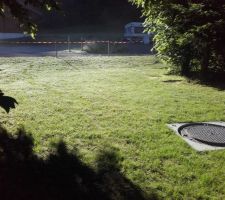 Tout cicatrisé sur la zone terrassée l'automne dernier.