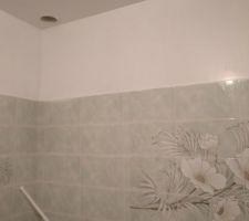 Peinture sdb du bas (plafond)